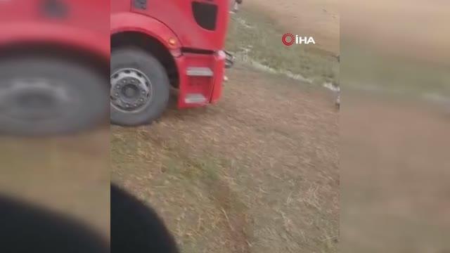 Bataklığa saplanan ineği itfaiye ekipleri kurtardı