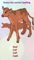 Spelling of the word is correct or not.