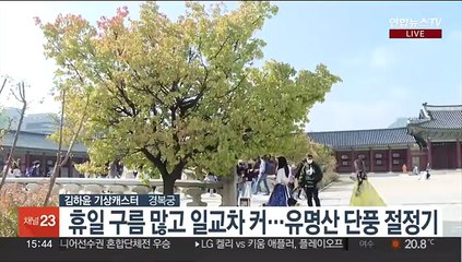 [날씨] 절기 '상강' 깊어가는 가을…동해안 요란한 비