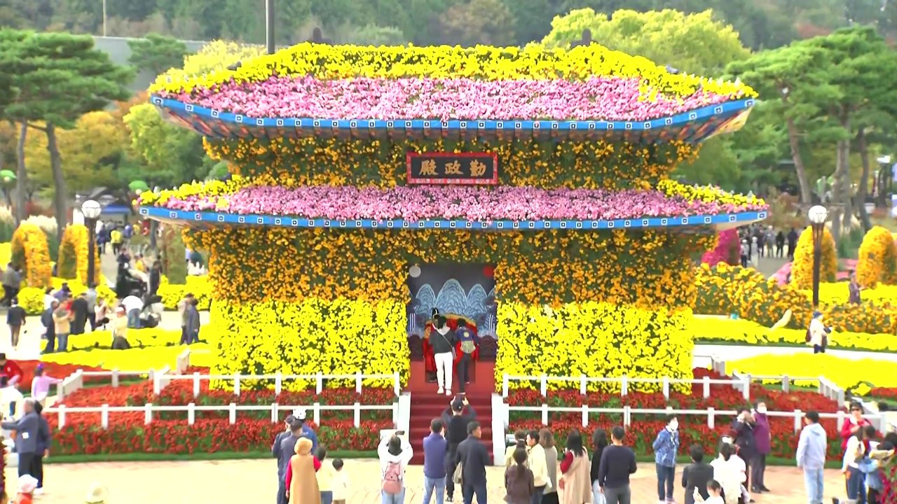 [날씨] 함평 국화 축제 한창...내일부터 기온 '뚝' / YTN