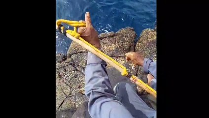 Cara Memancing Ikan Tuna