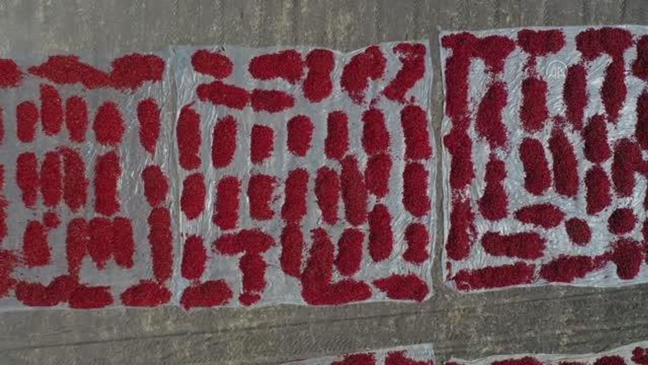 Kahramanmaraş haberi! KAHRAMANMARAŞ - ŞEHİRLERİN LEZZET REKABETİ - Gaziantep ve Kahramanmaraş arasında tescilli "acı biber" rekabeti yaşanıyor