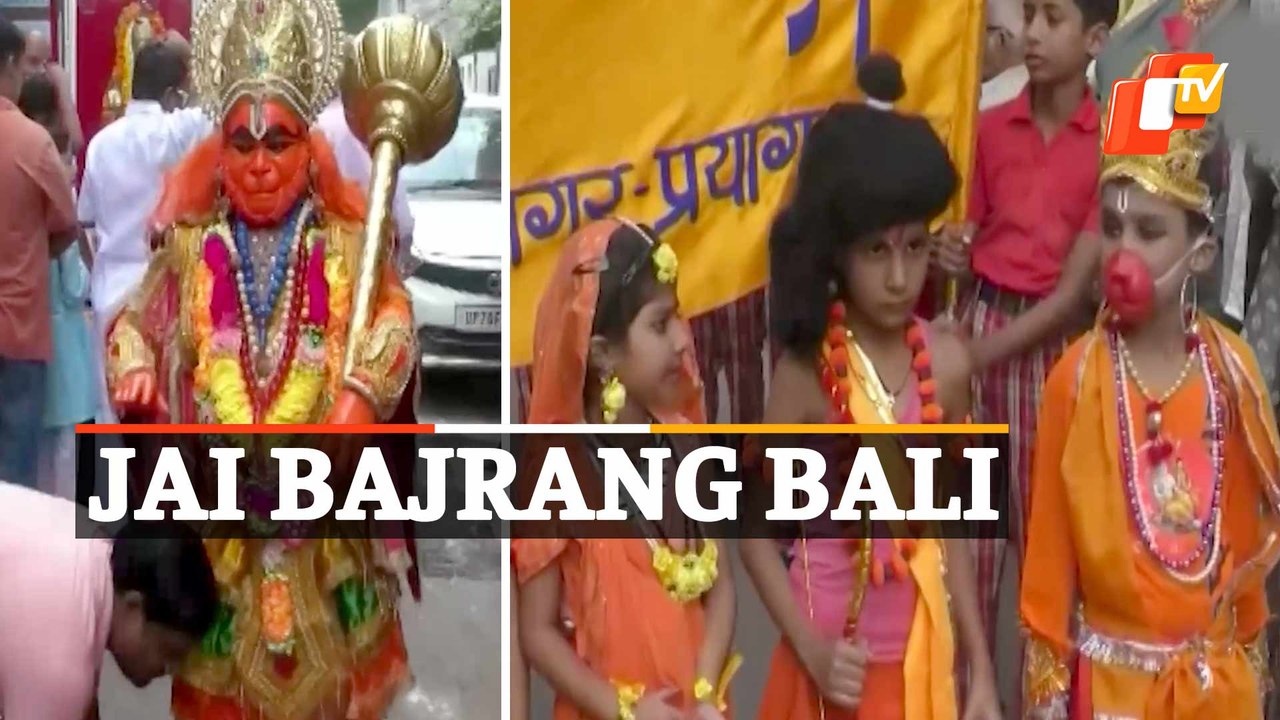 Watch : Hanuman Jayanti Celebration In Prayagraj, UP