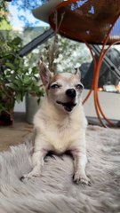 Miss Carmelita Osita