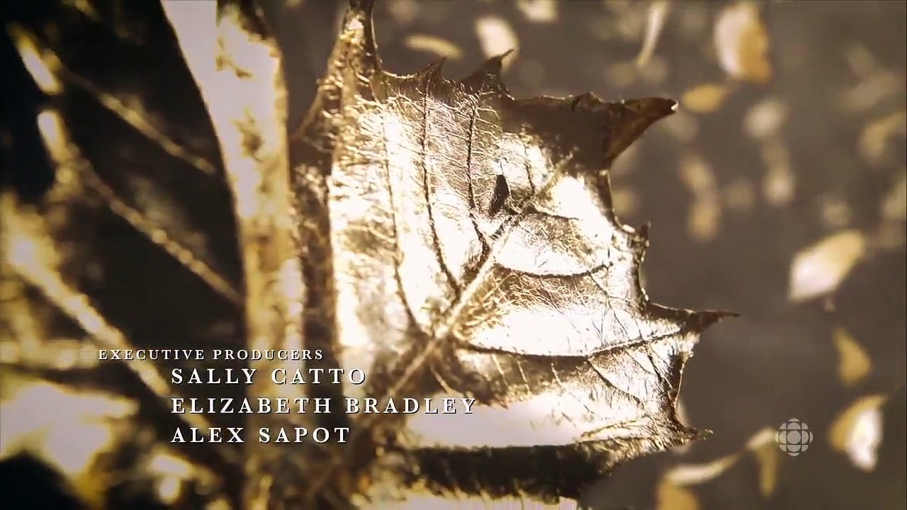 Anne - Se1 - Ep07 - Wherever You Are Is My Home HD Watch HD Deutsch