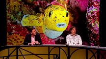 QI XL Se12 - Ep01 HD Watch HD Deutsch