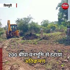 बदरवास में वन विभाग की बड़ी कार्रवाई