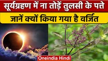 Surya Grahan 2022: भूलकर भी न करें तुलसी के पत्तों का प्रयोग | Solar Eclipse 2022 | वनइंडिया हिंदी