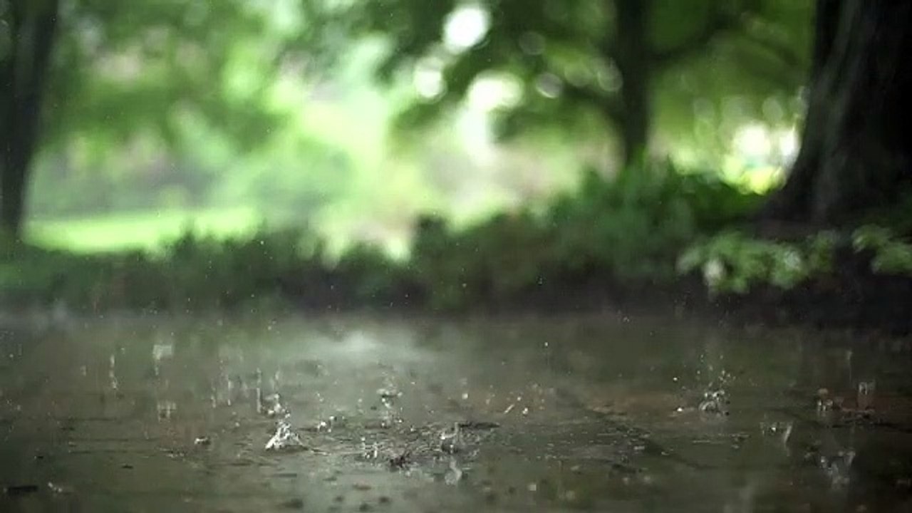 Rain Time travel