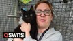 Cat missing for SIX years reunited with owners by chance