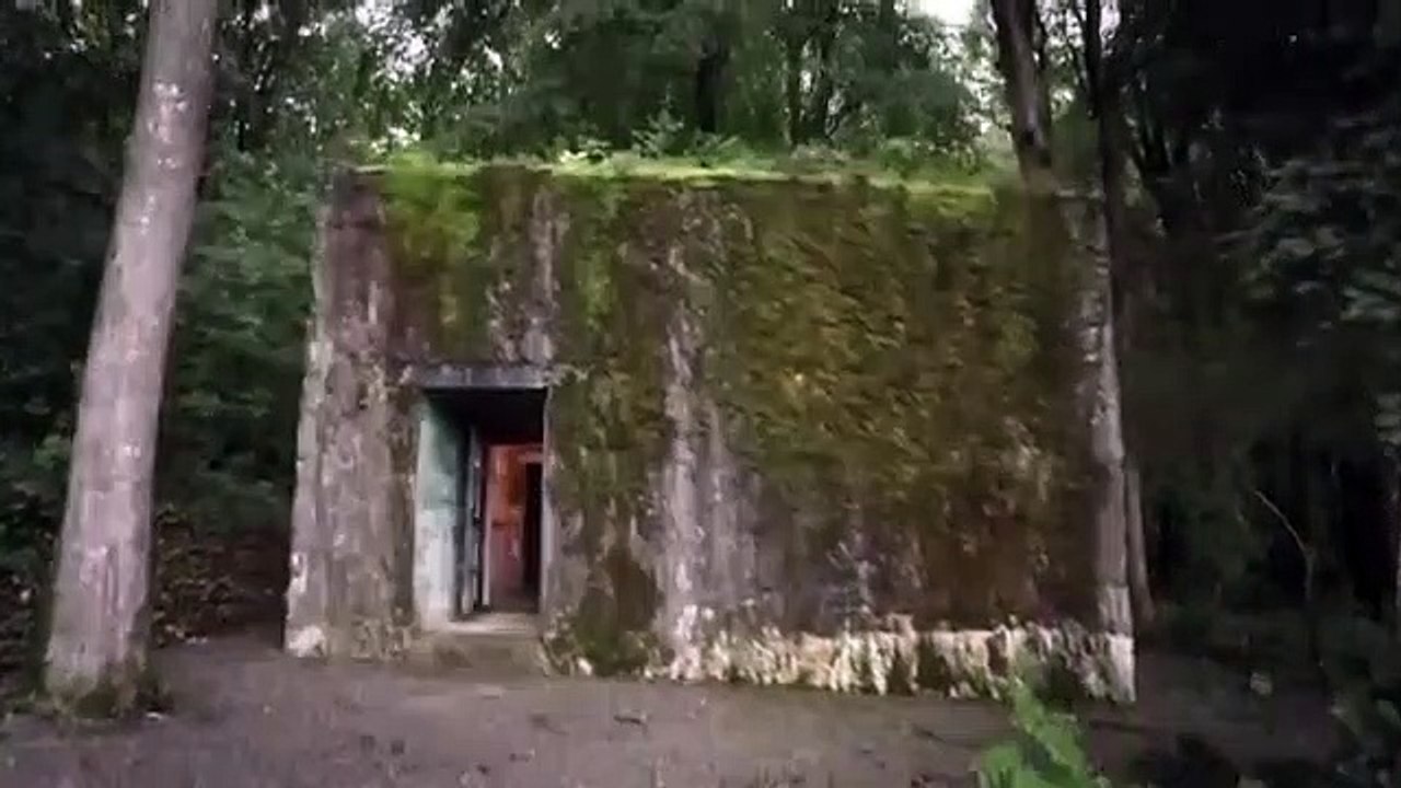 Adolf Hitler - The Itinerary - Se1 - Ep02 - The War Leader HD Watch HD Deutsch