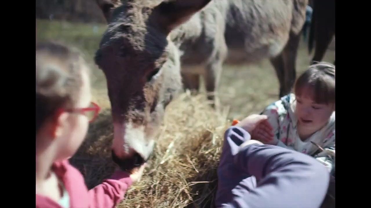 Eo Tráiler VO