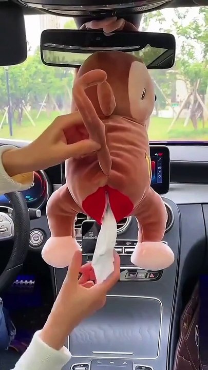 Funny videos