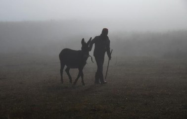 Yoğun sis etkili oldu