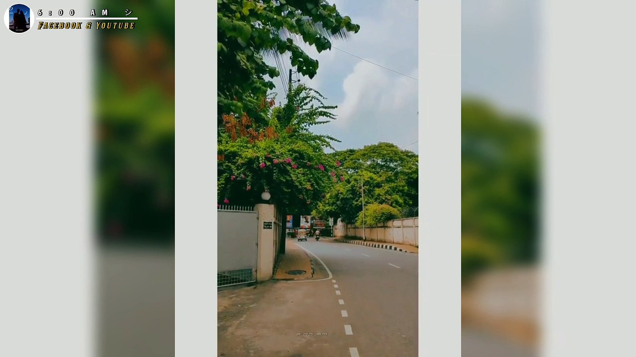 Tui mere aashma meri jaami bangaye status Video |