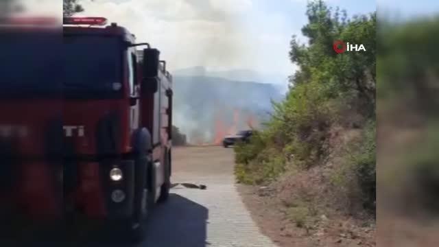 Son dakika gündem: (OSMANİYE)Temizlik amaçlı yakılan çalılar yangına sebep oldu: 10 dönüm arazi zarar gördü