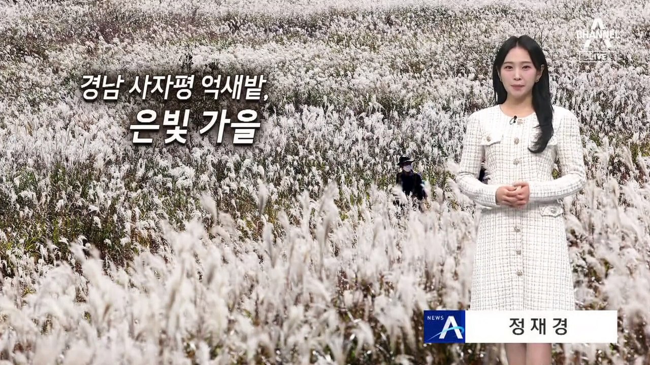 [날씨]아침 최저 1도로 ‘뚝’…밀양 사자평 은빛 억새 넘실