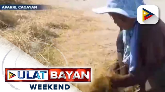 Pinsala ng magkakasunod na bagyo sa agrikultura sa Cagayan, umabot na sa halos kalahating bilyong pisoPinsala ng magkakasunod na bagyo sa agrikultura sa Cagayan, umabot na sa halos kalahating bilyong piso