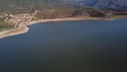 En büyük sazanı tutmak için yarıştılar