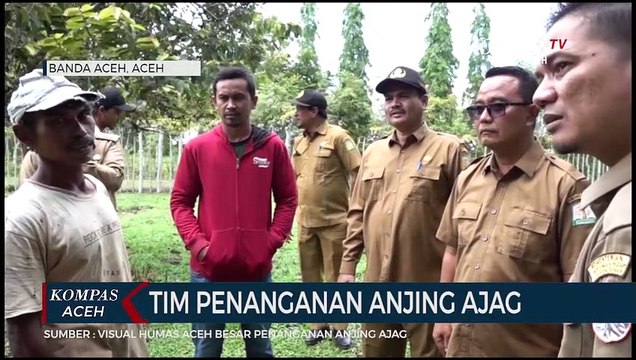 BKSDA Lakukan Pemetaan Sebaran Anjing Ajag di Aceh Besar