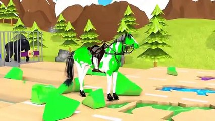 anak bebek kecil berenang