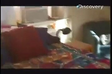 discovery channel -  assombrações - Criança atormentada pelo demonio