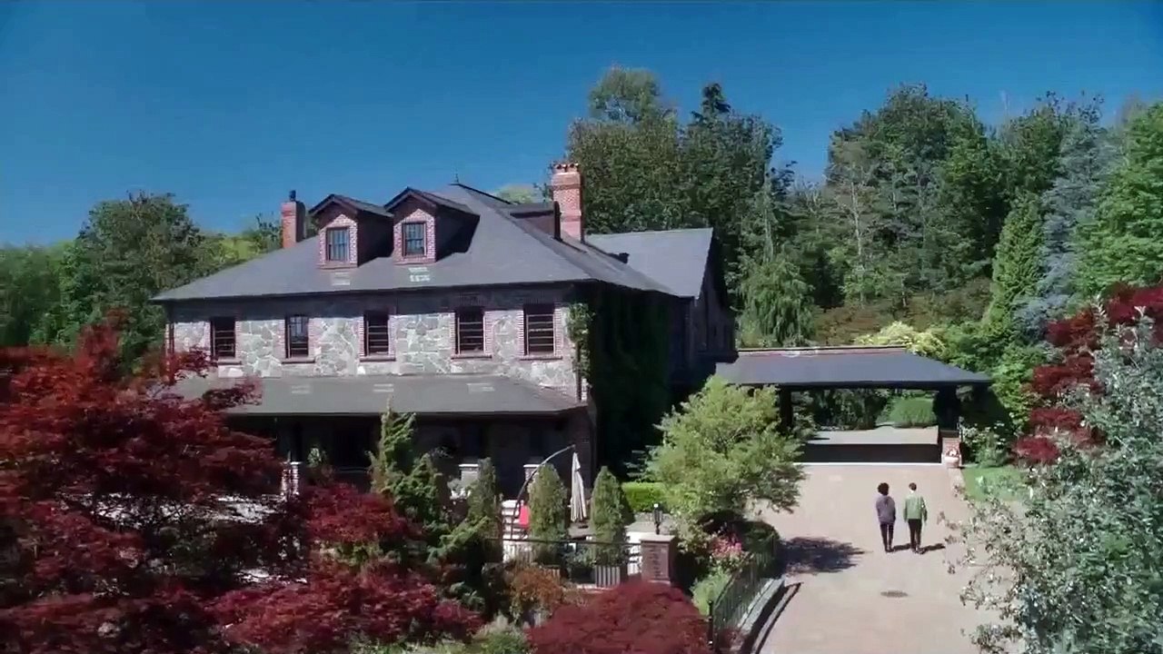 Dirk Gently's Holistic Detective Agency - Se1 - Ep04 - Watkin HD Watch HD Deutsch