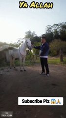 Subhanallah ##alhamdulillah #allah #shorts #viral