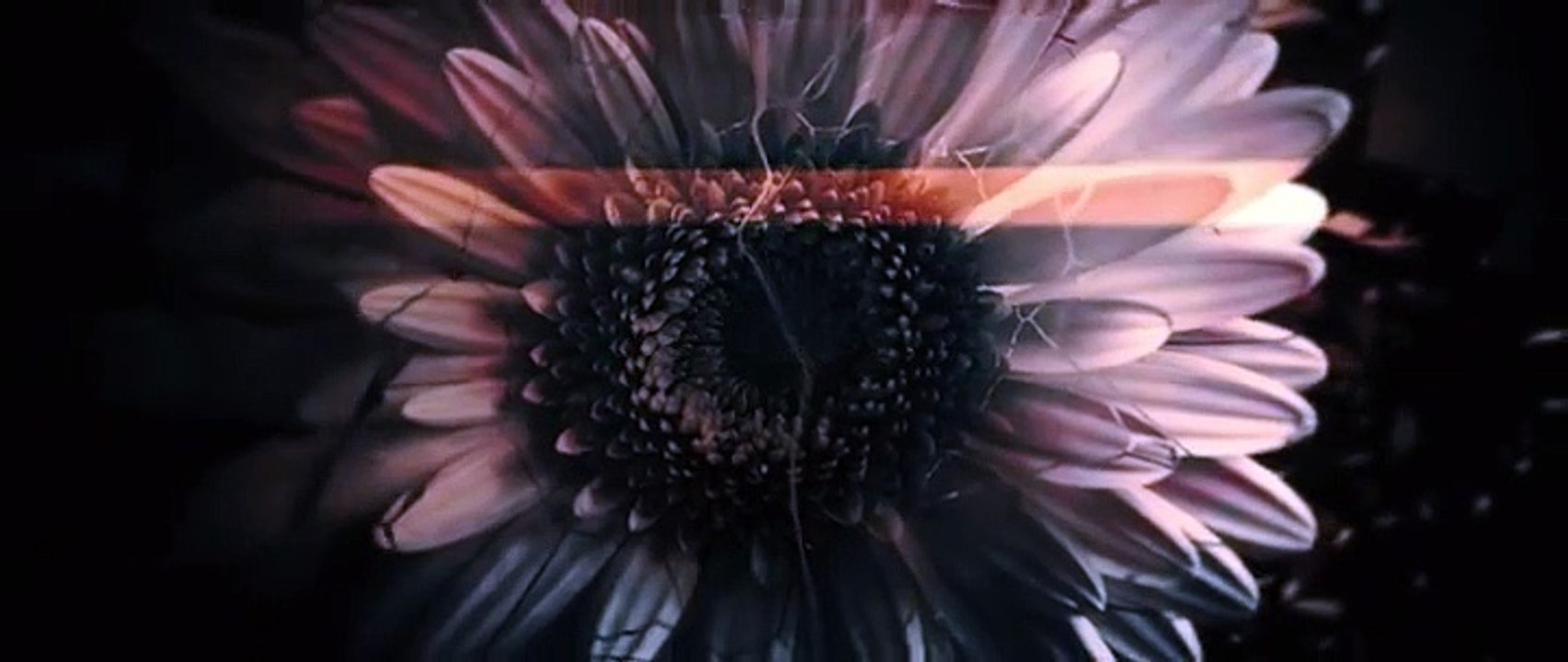 Close to Me - Se1 - Ep02 Unravelling HD Watch HD Deutsch