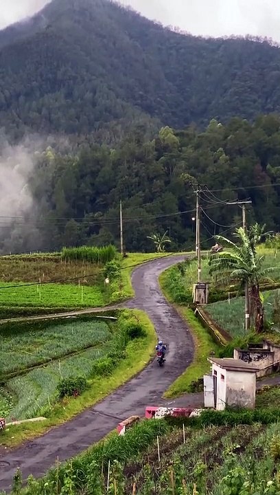 Menggalau pagiii