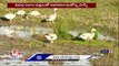 Kaziranga National Park Attracts With Migratory Birds Arrives Early _ Assam _ V6 News