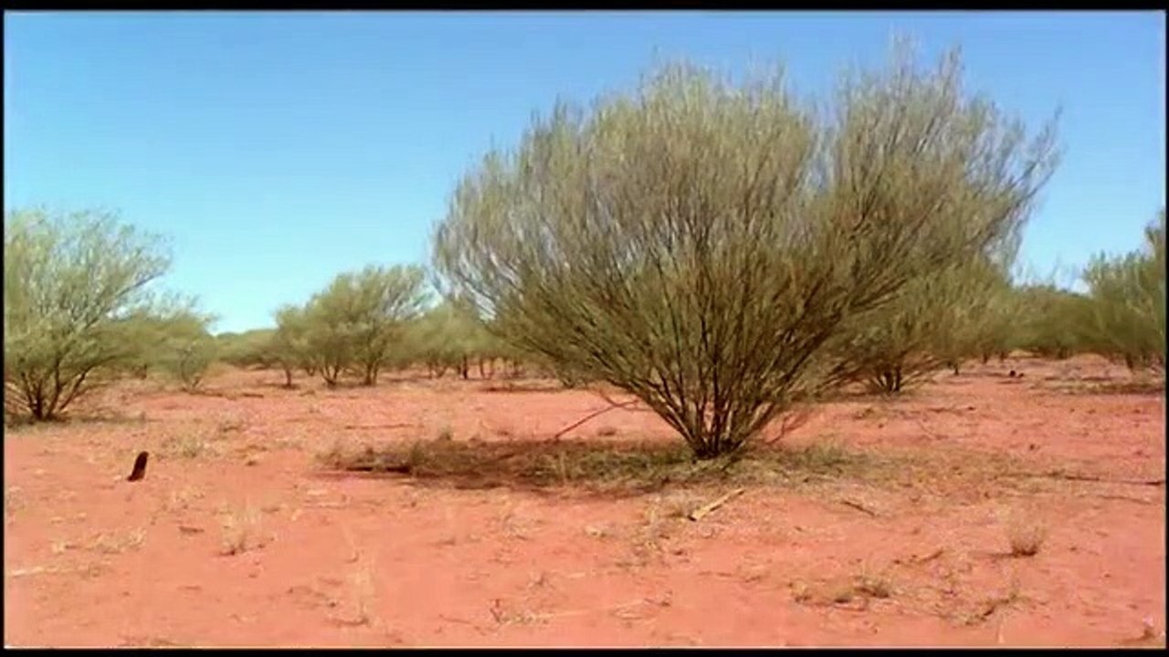 First Australians - Se1 - Ep04 - No Other Law HD Watch HD Deutsch