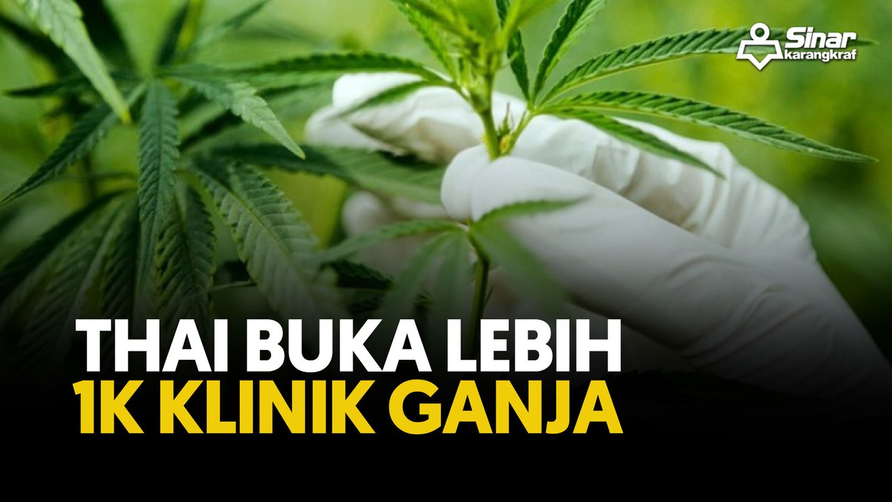 Thai buka lebih 1k klinik ganja