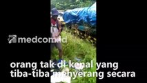 Viral! Detik Detik Penyerangan Pekerja Pembangunan Jalan Trans Papua