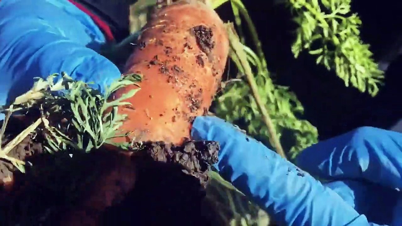 Through Our Eyes - Se1 - Ep02 HD Watch HD Deutsch