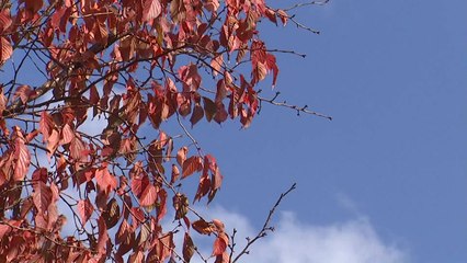 가을옷 입은 나들이 명소..."짧은 계절 흠뻑 즐겨요" / YTN