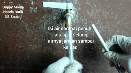 Tutorial Sifon untuk Media Ikan