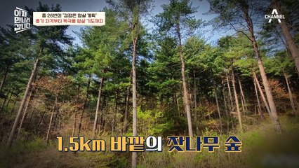 [#이만갑모아보기] 26번의 암살 시도로 공포증에 걸린 김정은?! 작전명 '토끼 사육'