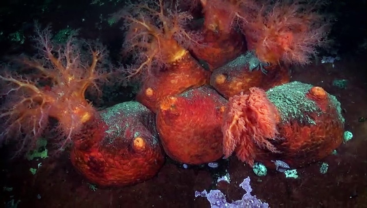 Under the Pole - Se1 - Ep02 HD Watch HD Deutsch