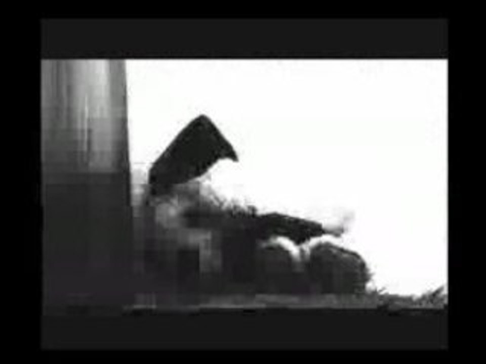 Entre un hipporose et un lapinver