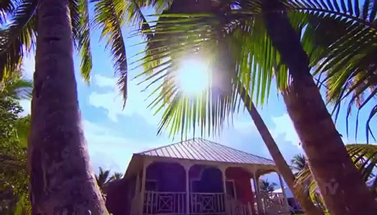 Island Of Bryan - Se1 - Ep06 - Hit the Roof HD Watch HD Deutsch