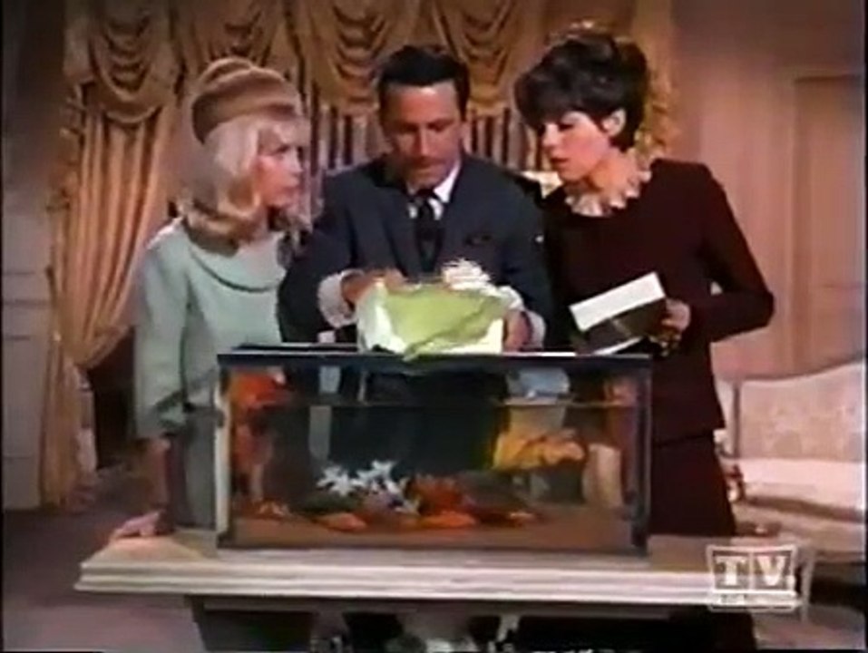 Get Smart - Se1 - Ep02 HD Watch HD Deutsch