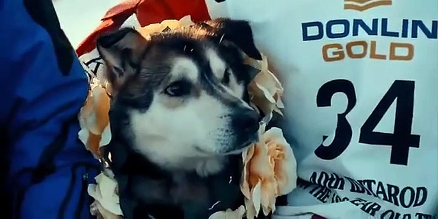 Losers - Se1 - Ep06 - Aliy HD Watch HD Deutsch