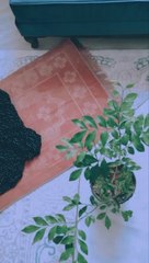 Dibalik kesusahan pasti ada kemudahan. Allahu Akbar!!!