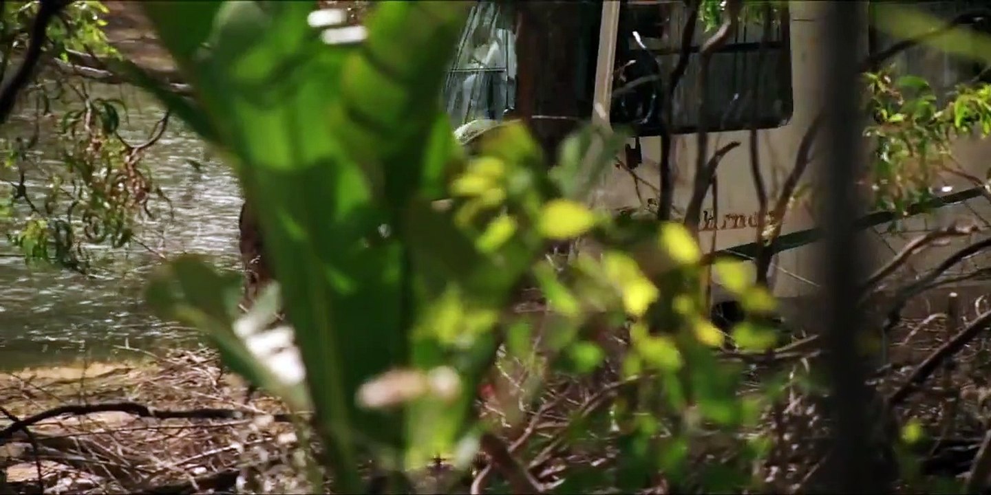Wolf Creek - Se1 - Ep01 - Billabong HD Watch HD Deutsch