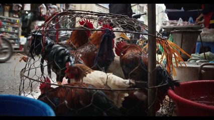 Pandemic - How to Prevent an Outbreak - Se1 - Ep01 HD Watch HD Deutsch