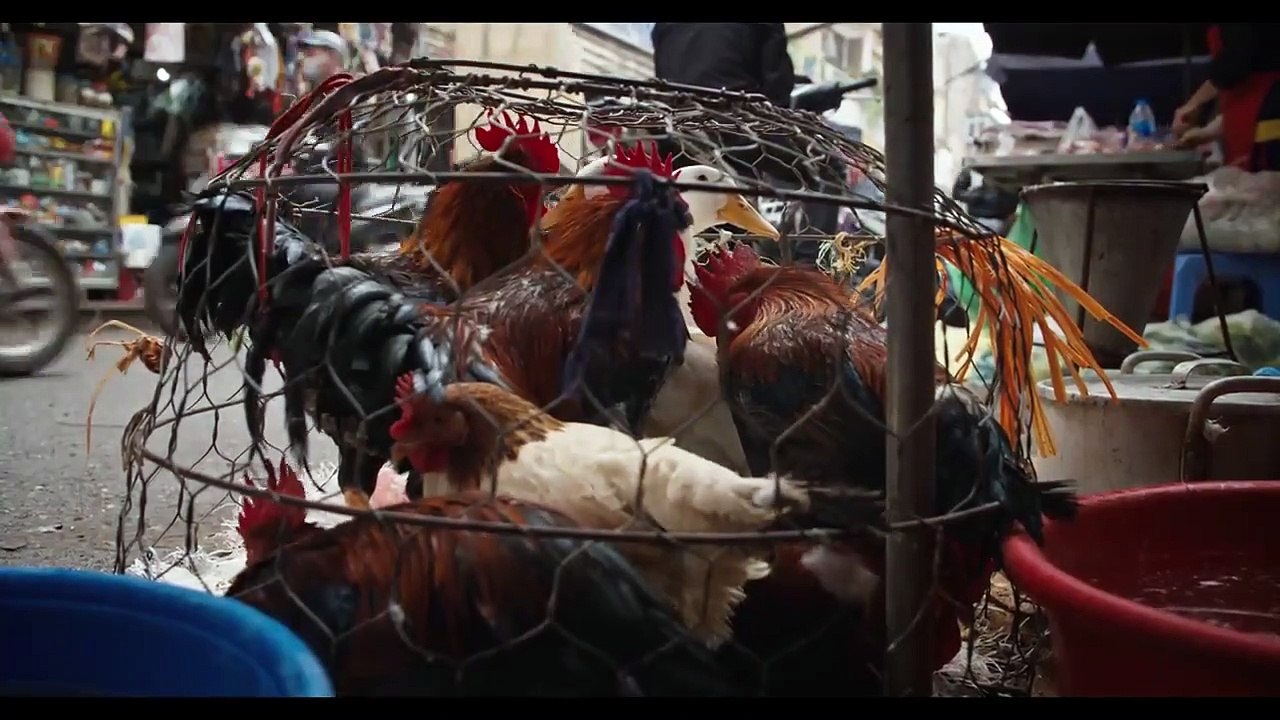 Pandemic - How to Prevent an Outbreak - Se1 - Ep01 HD Watch HD Deutsch