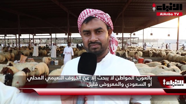20 % ارتفاعاً في أسعار الأغنام.. لهذه الأسباب