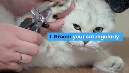 Cats Health & Care Tips.