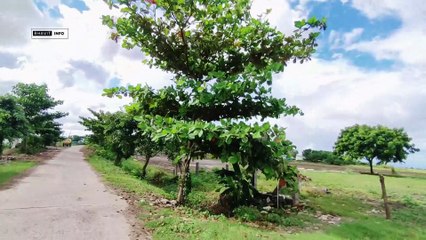 CHINA NANDIPADU , PARCHUR, Andhra Pradesh, - INDIA VILLAGE